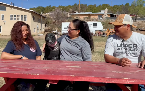 美國12歲半盲老狗護主大戰黑熊 臉遭撕開拼死肉搏 化身戰神救下60命 