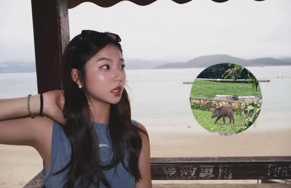 照片來源:Instagram@peixuan3412 照片來源:Instagram@peixuan3412