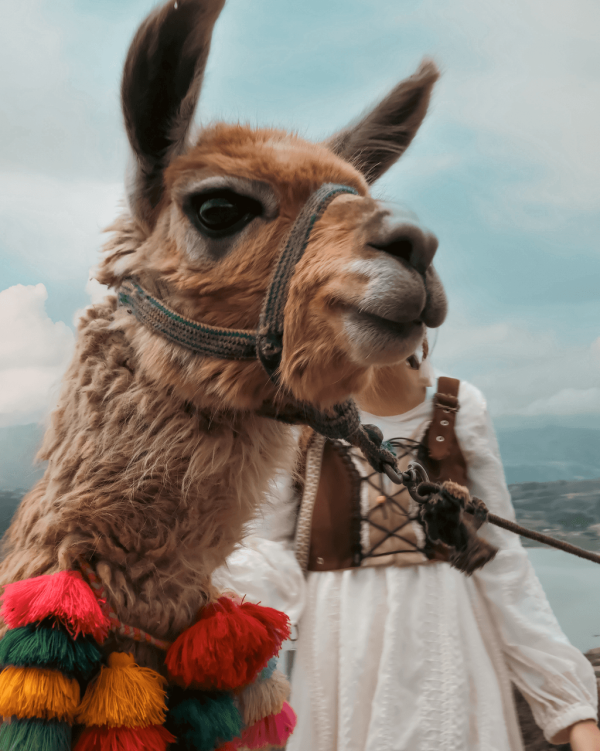 【唔去會後悔!】此生必去旅遊景點10選 極光/馬丘比丘/天空之鏡 附最佳旅遊時間