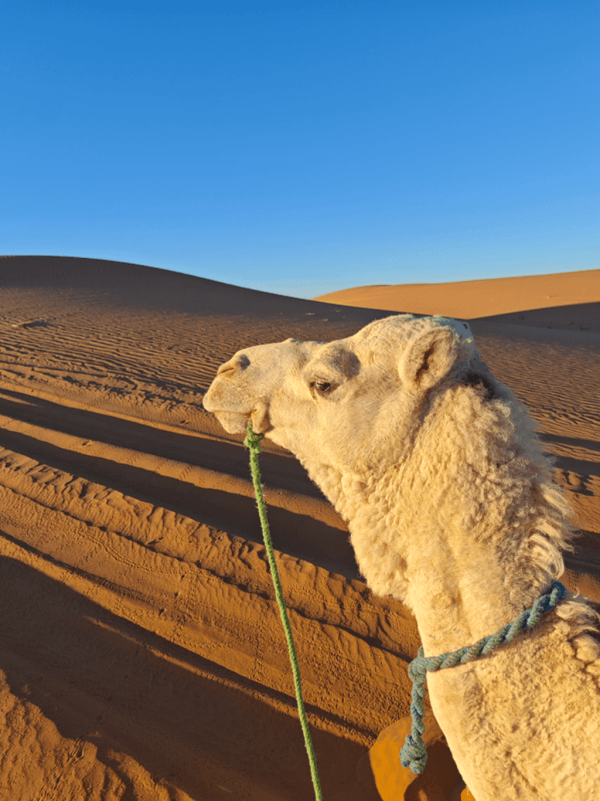 【唔去會後悔!】此生必去旅遊景點10選 極光/馬丘比丘/天空之鏡 附最佳旅遊時間