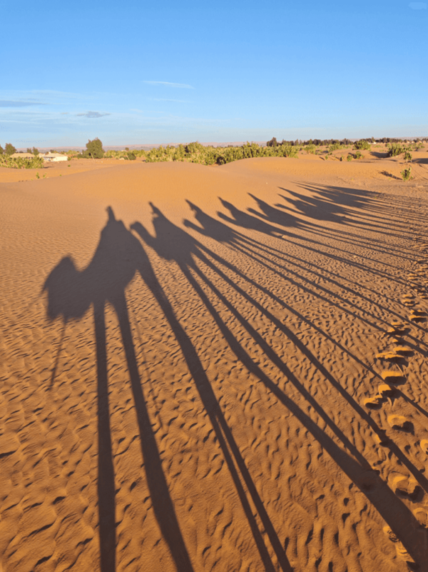 【唔去會後悔!】此生必去旅遊景點10選 極光/馬丘比丘/天空之鏡 附最佳旅遊時間