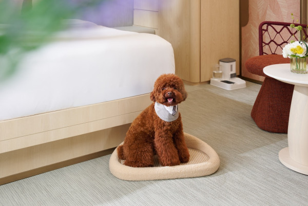 九龍東帝苑酒店全新天際花園小築登場 特色團體套房/寵物友善住宿/落日山海景觀