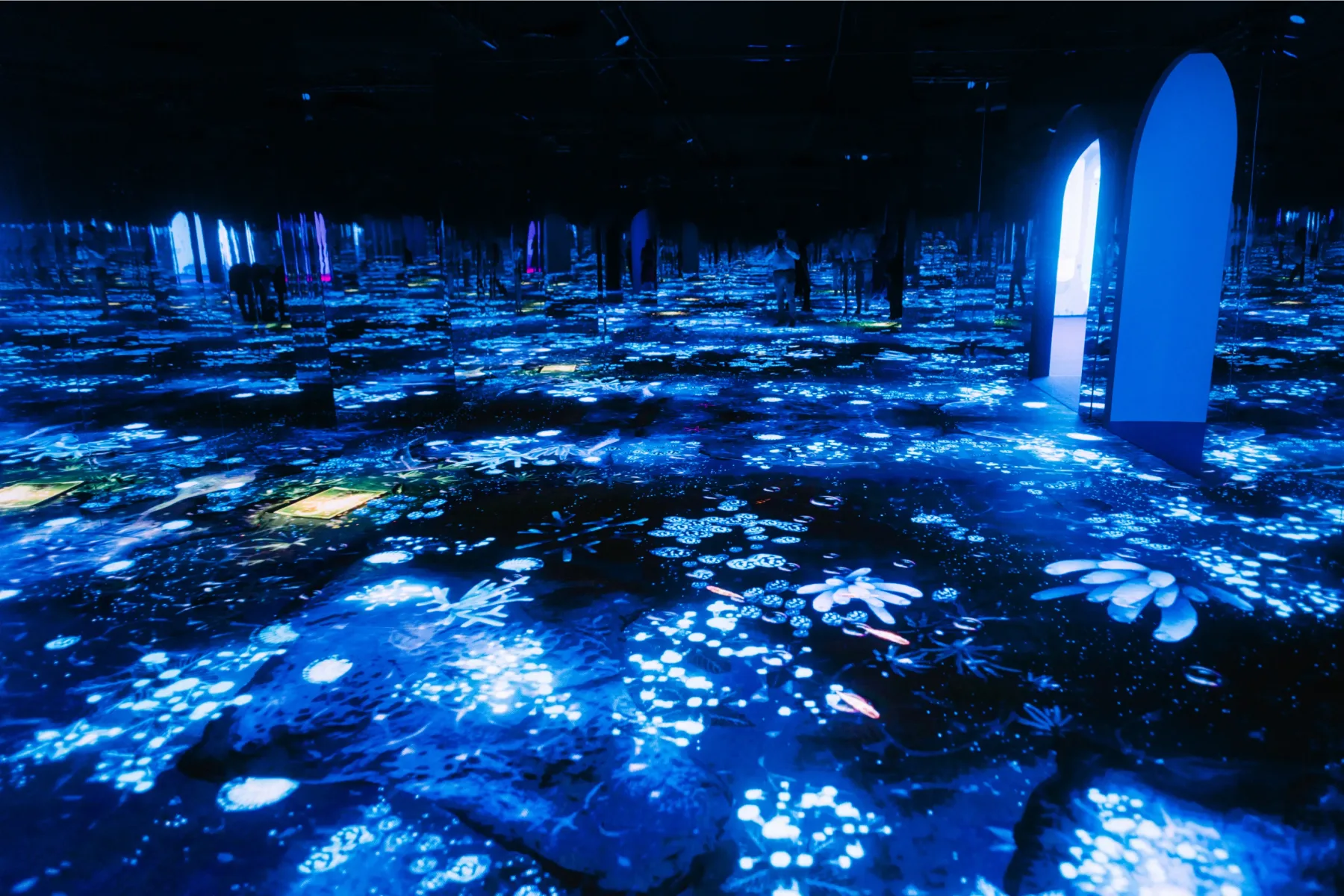 泡泡星球體驗展進駐啟德郵輪碼頭（圖片來源︰泡泡星球體驗展）