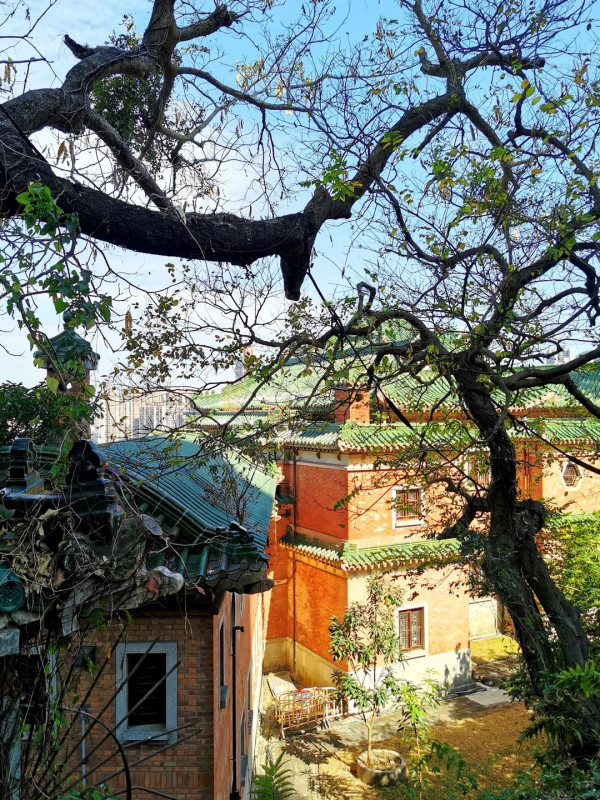 灣仔半山傳奇古宅限時免費開放！揭《京華春夢》取景地 附搶位攻略