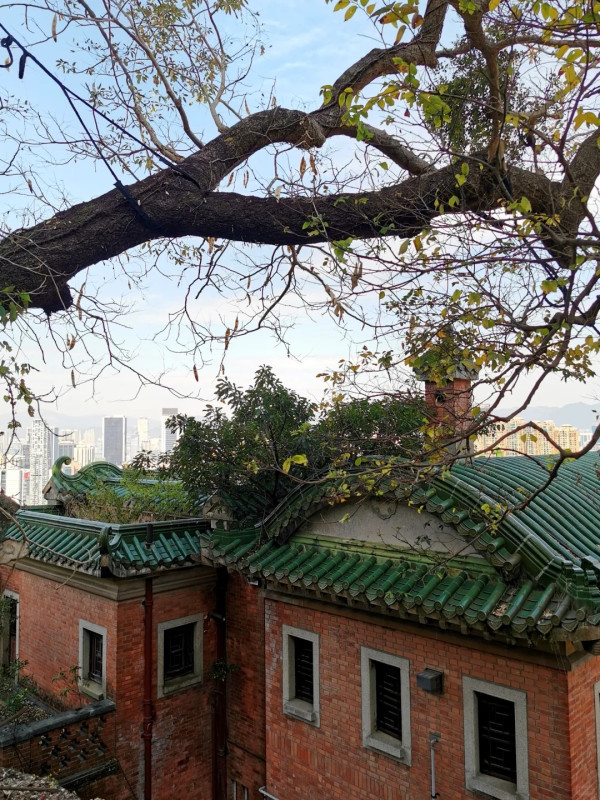 灣仔半山傳奇古宅限時免費開放！揭《京華春夢》取景地 附搶位攻略