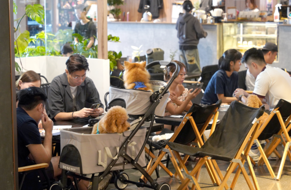 狗隻入食肆懶人包（圖片來源︰HKET）