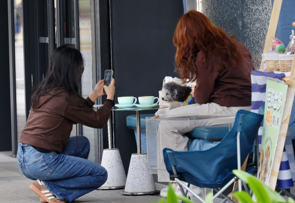 狗隻入食肆懶人包（圖片來源︰HKET）