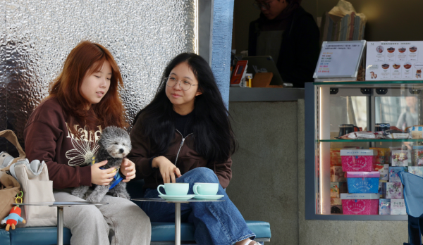 狗隻入食肆懶人包（圖片來源︰HKET）