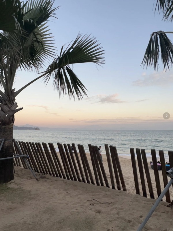 深圳海邊公園6大推介地鐵直達！摩天輪日落絕景+兒童公園 親子打卡放電必去 