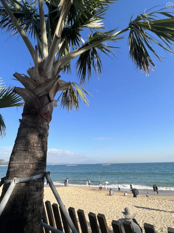 深圳海邊公園6大推介地鐵直達！摩天輪日落絕景+兒童公園 親子打卡放電必去 