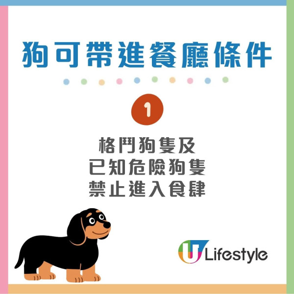 狗隻入食肆懶人包︱5.8起法例生效 3類食肆仍禁入＋狗主必讀3大守則（附寵物友善餐廳推介）