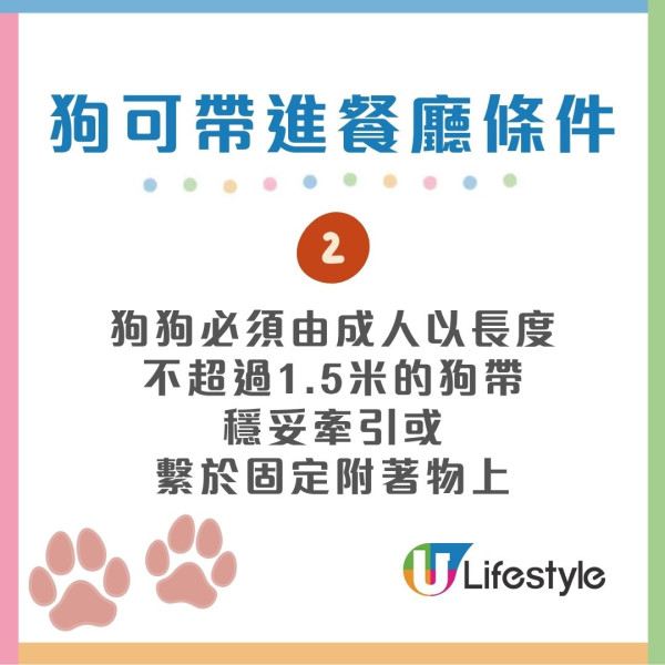狗隻入食肆懶人包︱5.8起法例生效 3類食肆仍禁入＋狗主必讀3大守則（附寵物友善餐廳推介）