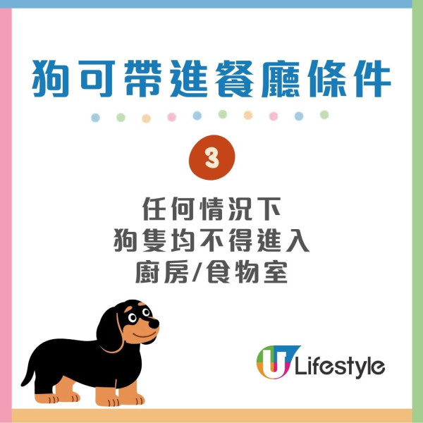狗隻入食肆懶人包︱5.8起法例生效 3類食肆仍禁入＋狗主必讀3大守則（附寵物友善餐廳推介）