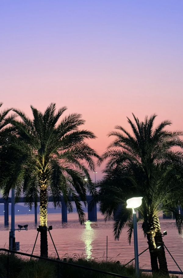 深圳海邊公園6大推介地鐵直達！摩天輪日落絕景+兒童公園 親子打卡放電必去 