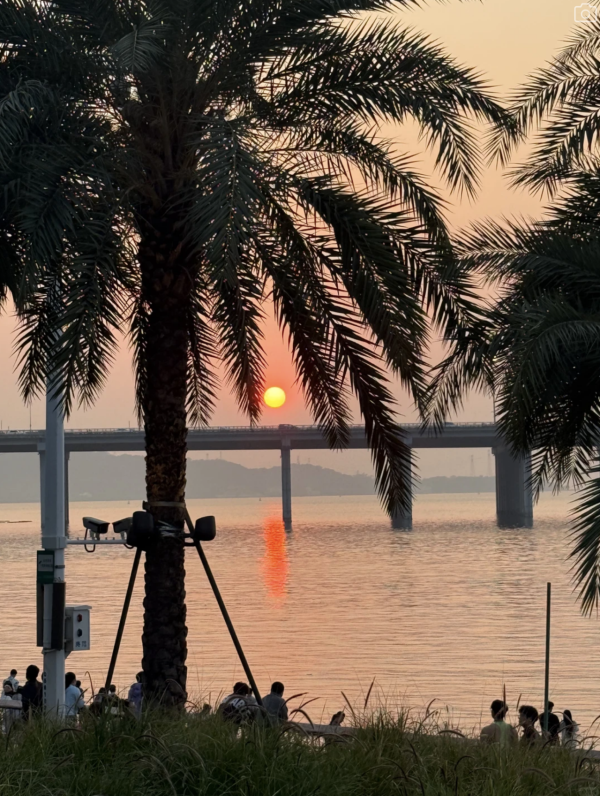深圳海邊公園6大推介地鐵直達！摩天輪日落絕景+兒童公園 親子打卡放電必去 