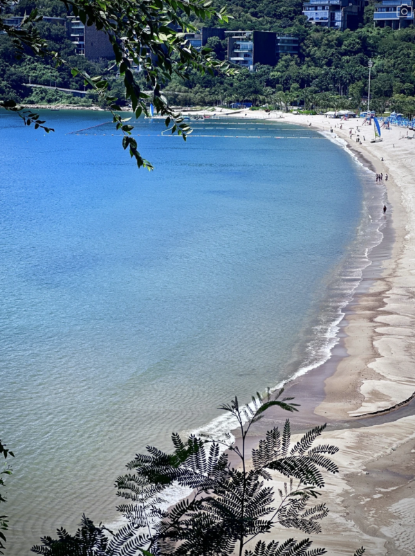 深圳海邊公園6大推介地鐵直達！摩天輪日落絕景+兒童公園 親子打卡放電必去 