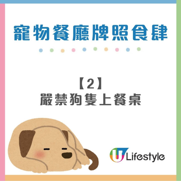狗隻入食肆懶人包︱5.8起法例生效 3類食肆仍禁入＋狗主必讀3大守則（附寵物友善餐廳推介）