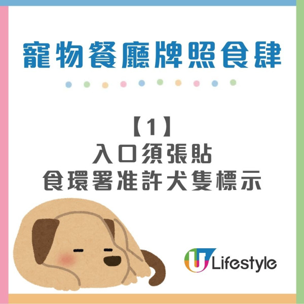 狗隻入食肆懶人包︱5.8起法例生效 3類食肆仍禁入＋狗主必讀3大守則（附寵物友善餐廳推介）