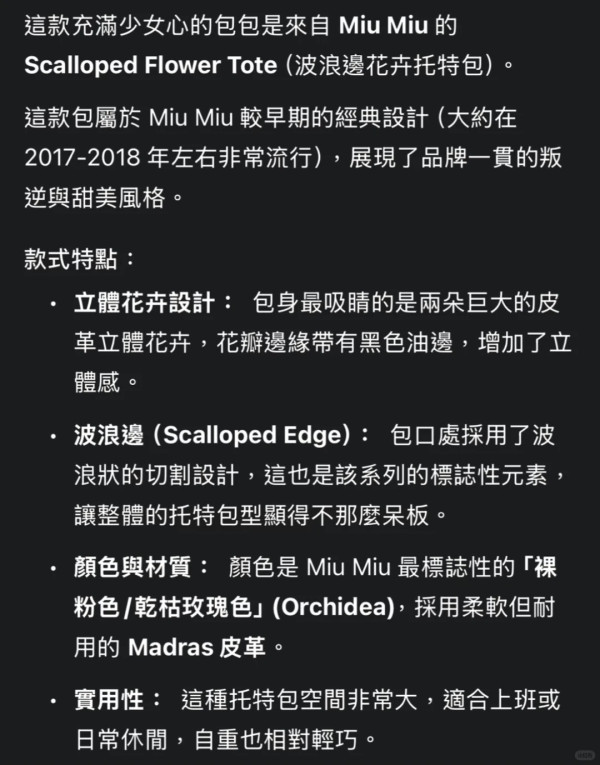 【Gemini隱藏玩法】影相1秒驗證二手名牌袋真偽！實測3大AI指令驗貨