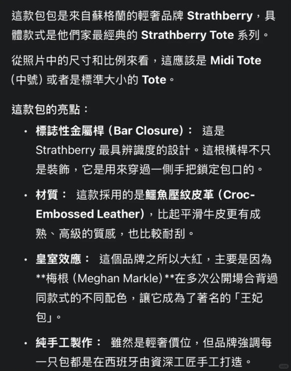 【Gemini隱藏玩法】影相1秒驗證二手名牌袋真偽！實測3大AI指令驗貨