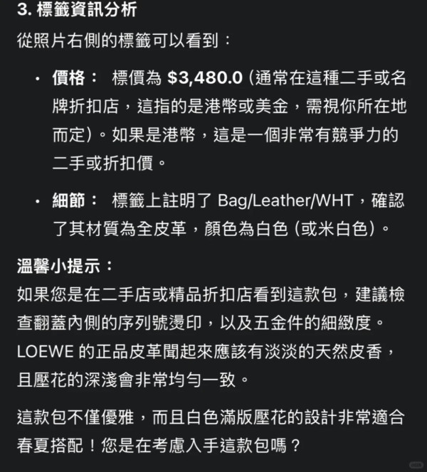 【Gemini隱藏玩法】影相1秒驗證二手名牌袋真偽！實測3大AI指令驗貨