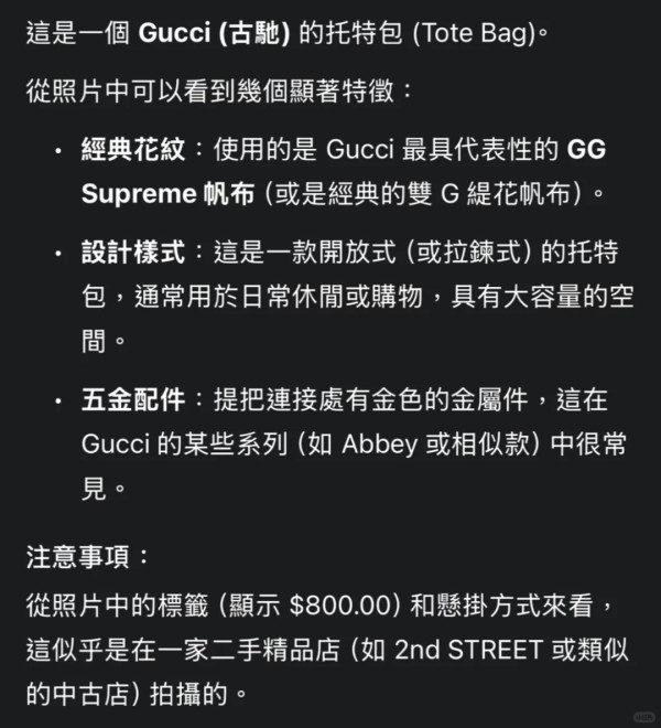 【Gemini隱藏玩法】影相1秒驗證二手名牌袋真偽！實測3大AI指令驗貨