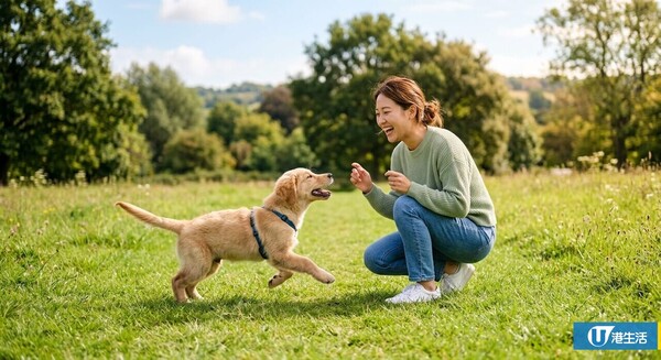 畫畫苦手救星！實測Gemini AI草稿變圖片生成教學！草圖秒變日系動漫？無需餵圖即生成精緻圖像 附圖文教學+指令