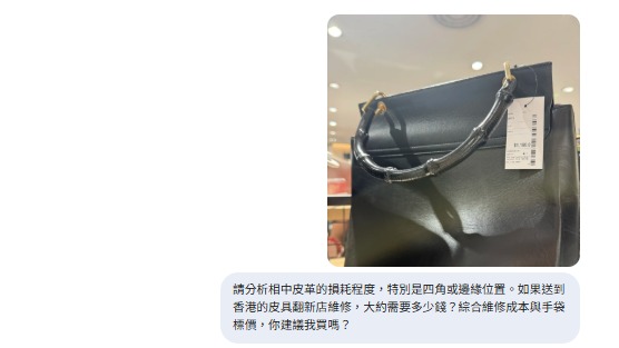 【Gemini隱藏玩法】影相1秒驗證二手名牌袋真偽!實測3大AI指令驗貨