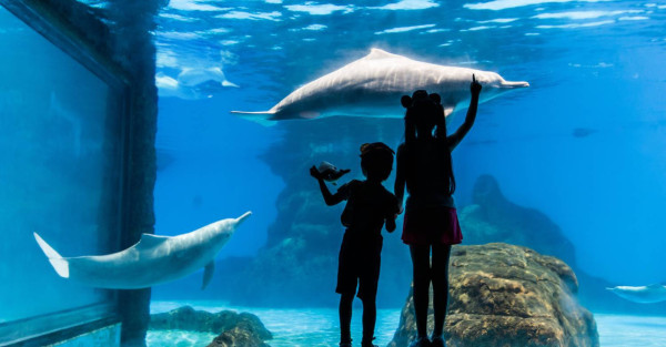 2026 港人票選最適合親子旅遊目的地排名出爐！呢個地方壓倒性奪冠成「親子遊天花板」 