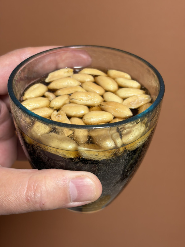 x @nekoyamamanager x @nekoyamamanager