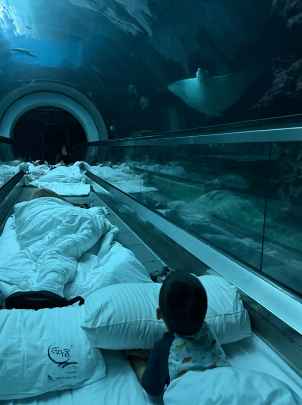 照片來源：小紅書@洪多多想太多