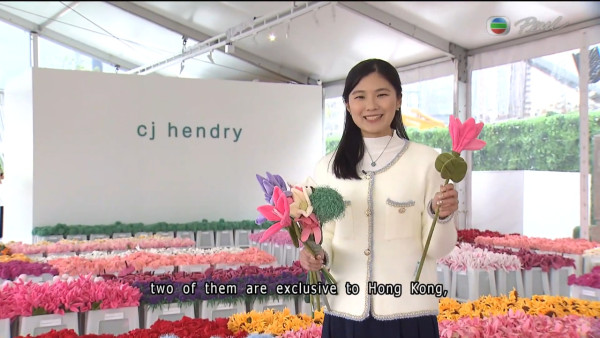 TVB女記者陳尚萱九龍城潑水節被圍攻潑水 被膠桶笠頭當場求饒：唔好淋我住！