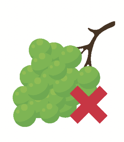 9日內5名長者鯁喉意外！食粥燒賣隨時奪命 揭3大陷阱附黃金急救自救法