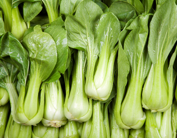 豆芽菜不能代替青菜？家醫科醫生：養密度極低 隨時跌入「亞健康」3類人更要慎食！