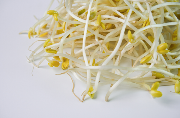 豆芽菜不能代替青菜？家醫科醫生：養密度極低 隨時跌入「亞健康」3類人更要慎食！