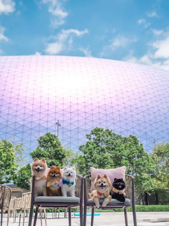 帝盛美酒佳餚節2026（相片由相關機構提供）