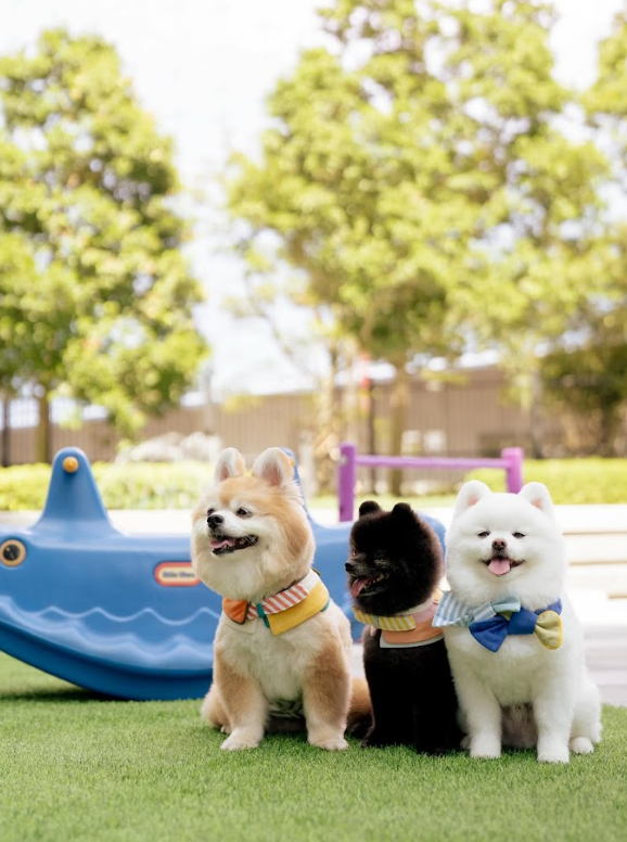 帝盛美酒佳餚節2026（相片由相關機構提供）