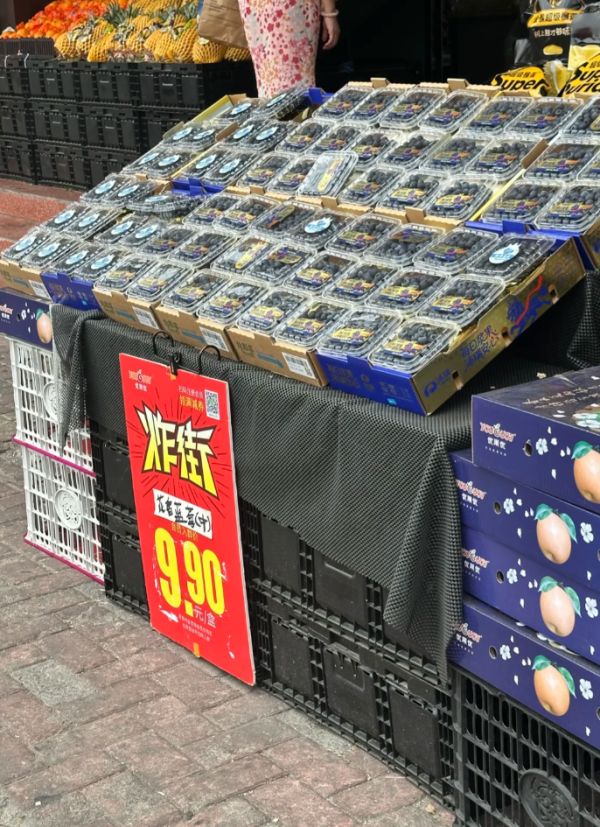 照片來源：小紅書@momo