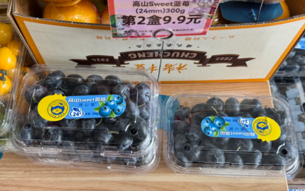 照片來源：小紅書@东篱