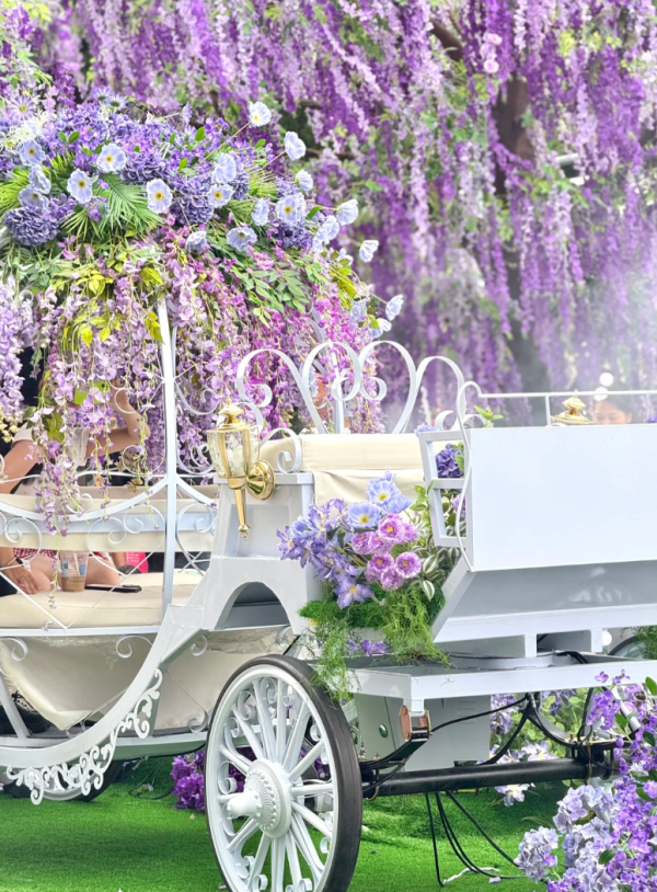 照片來源:小紅書@过敏圆 照片來源:小紅書@过敏圆