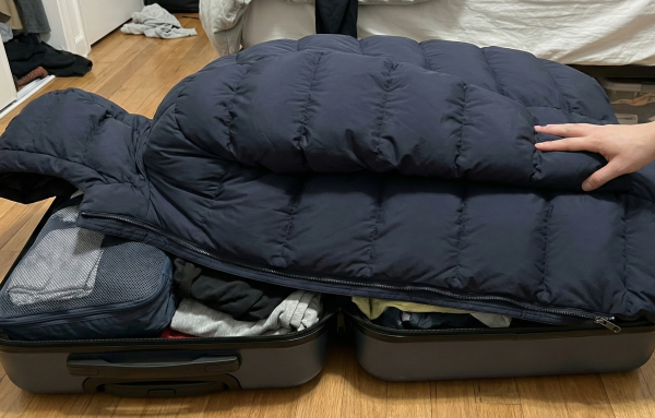 轉季/旅行收納神器！Daiso副線推$15/4個壓縮袋 實測厚羽絨秒變「紙片」！網民大讚：Muji平替