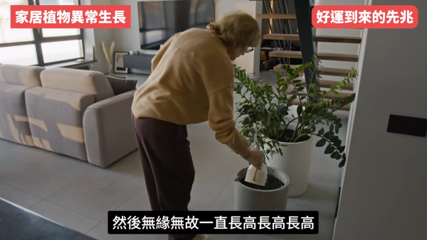 陳定幫揭5大轉運先兆！人際關係大洗牌是好事？面相現一現象=財運將爆發！公開私藏偏方：咁做提高贏錢勝率