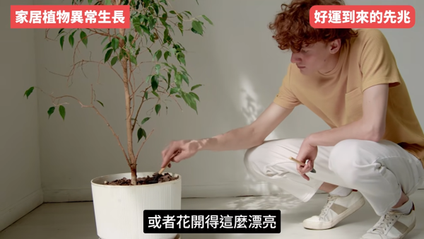 陳定幫揭5大轉運先兆！人際關係大洗牌是好事？面相現一現象=財運將爆發！公開私藏偏方：咁做提高贏錢勝率