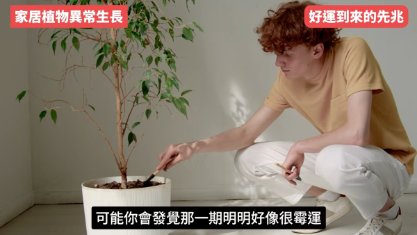 陳定幫揭5大轉運先兆！人際關係大洗牌是好事？面相現一現象=財運將爆發！公開私藏偏方：咁做提高贏錢勝率