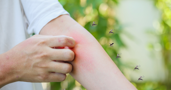 今年暴雨季提前！厄爾尼諾恐引爆史詩級蚊患 專家警告：呢幾個月高危