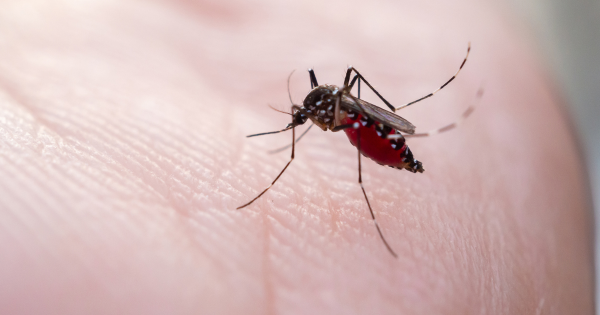 今年暴雨季提前！厄爾尼諾恐引爆史詩級蚊患 專家警告：呢幾個月高危