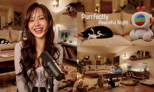 TVB深宵時段《貓咪小夜曲》代替《祝君晚安》火爐片 AI Sammi激增20倍IG粉絲