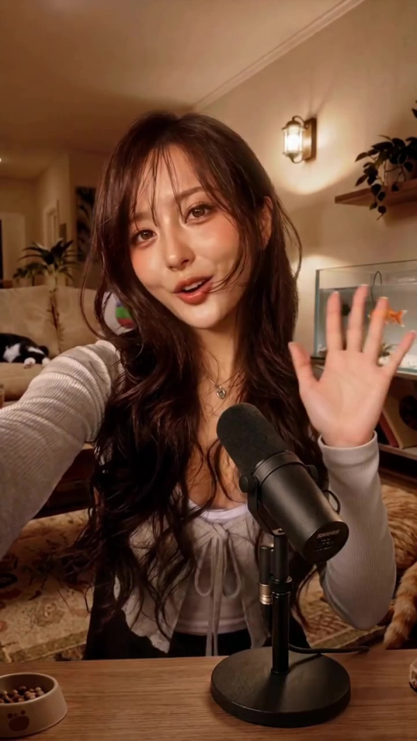 TVB深宵時段《貓咪小夜曲》代替《祝君晚安》火爐片  AI Sammi激增20倍IG粉絲