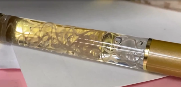 睇到都手震！日本推「線蟲原子筆」寄生蟲管內狂郁 網民崩潰：邊個敢攞上手寫字