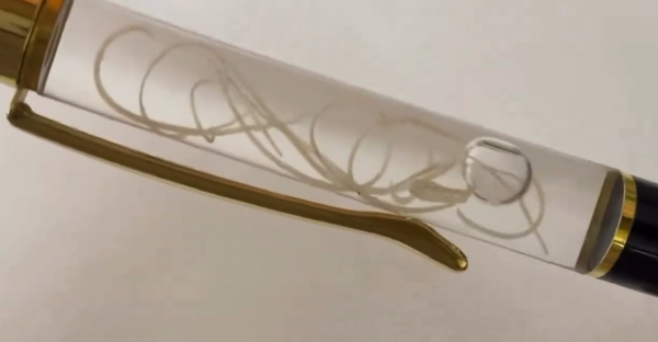 睇到都手震！日本推「線蟲原子筆」寄生蟲管內狂郁 網民崩潰：邊個敢攞上手寫字